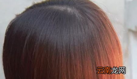 气虚血虚吃什么补最快