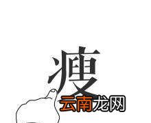 气虚肥胖如何补气减肥