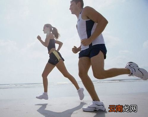 气虚肥胖如何补气减肥