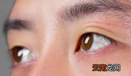 气虚吃什么补最快最有效