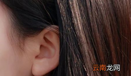 气虚吃什么补最快最有效