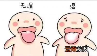舌头有齿痕怎么调理