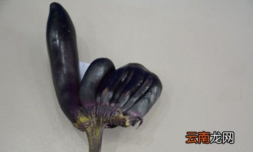 茄子有什么功效和作用