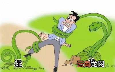 其实湿气重去哪里不重要治疗才重要