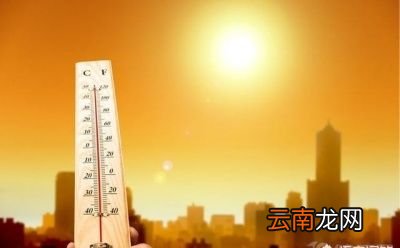 身体湿气重的表现有哪些