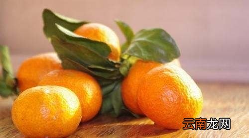 橘子在冰箱可以冷藏多久