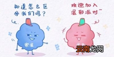 还是有味道的区分——大便