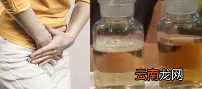还是有味道的区分——大便
