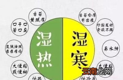 怎样区分湿热还是寒湿