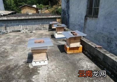 蜂蜜的真假该如何鉴别