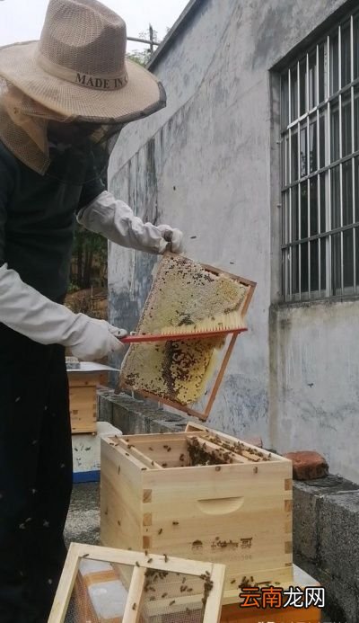 蜂蜜的真假该如何鉴别