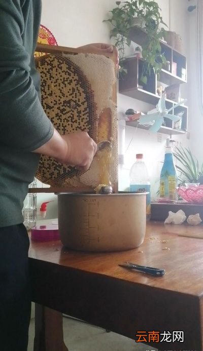 蜂蜜的真假该如何鉴别