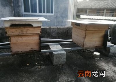 蜂蜜的真假该如何鉴别