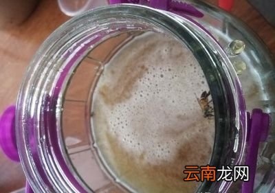 蜂蜜的真假该如何鉴别