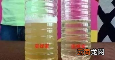 蜂蜜的真假该如何鉴别