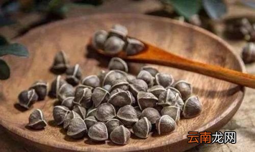 辣木籽怎么吃是正确的