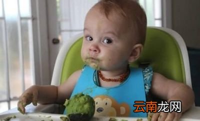 多大的孩子可以开始吃牛油果