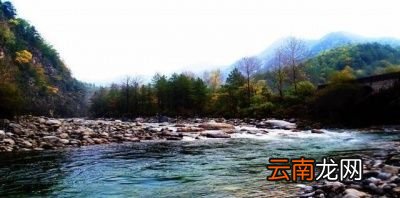 自来水矿泉水纯净水有何区别