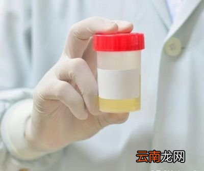 自来水矿泉水纯净水有何区别