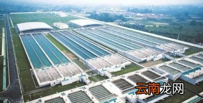 自来水该怎么喝