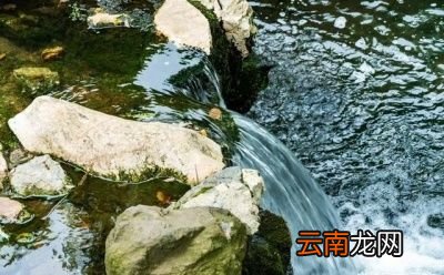 最好的水还是白开水现烧现晾现喝