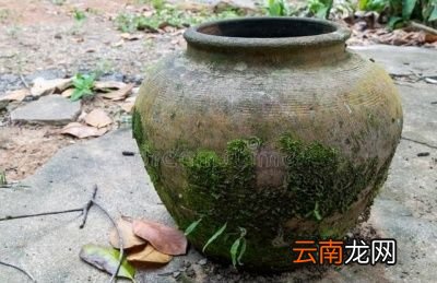 话说哪有多的泉水给你喝