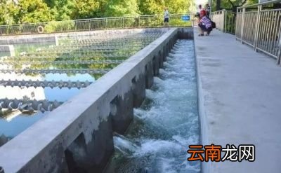 都在贬低自来水宣传桶装水和净水器的好处