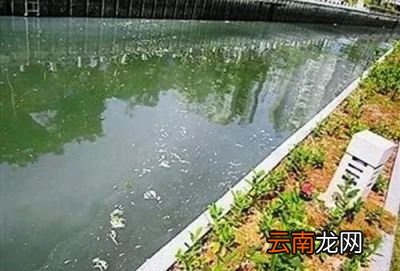 都在贬低自来水宣传桶装水和净水器的好处