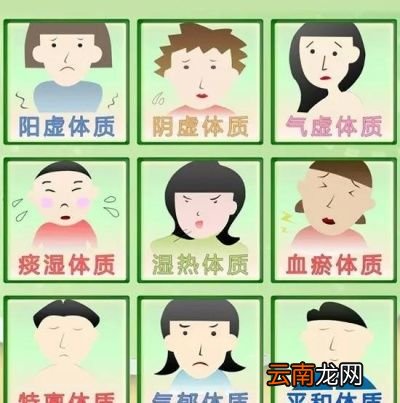 如何判断自己的体质