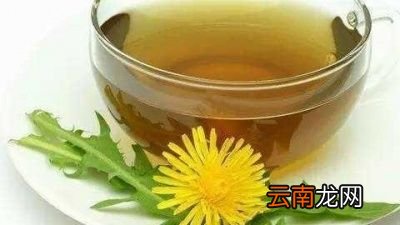 问题蒲公英能与甘草一起喝吗