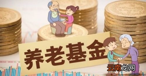 国家开始交养老保险是哪年