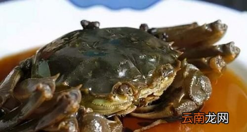 螃蟹什么季节最肥最好