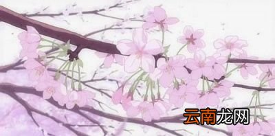 为什么日本的街头基本看不到胖子