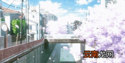 为什么日本的街头基本看不到胖子