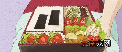 为什么日本的街头基本看不到胖子