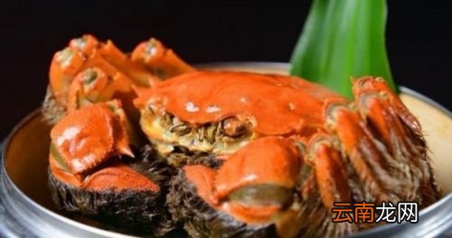 大闸蟹能跟什么东西吃