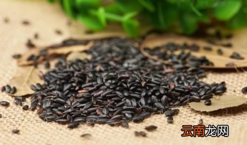 黑芝麻真的可以改善白发吗