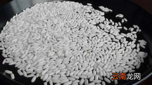 糯米有什么功效与作用禁忌