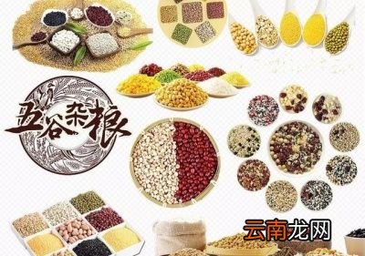 养胃的食物有什么特点