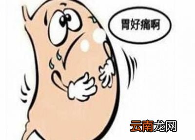 养胃的食物有什么特点