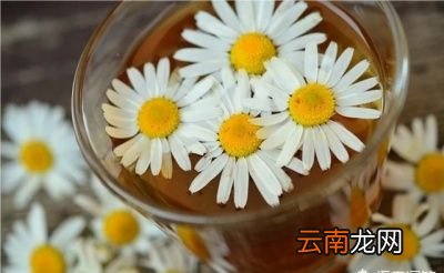 哪些食物可以真正的养胃