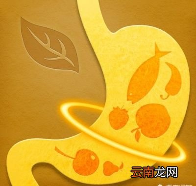 养胃效果最好的食物有哪些