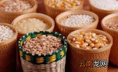 --吃什么美食可以养胃--