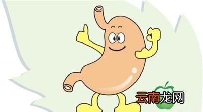 患胃病吃什么食物养胃