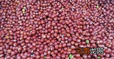 平常吃一些什么对胃有保养作用呢