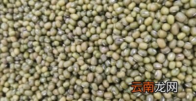 平常吃一些什么对胃有保养作用呢