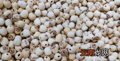 平常吃一些什么对胃有保养作用呢