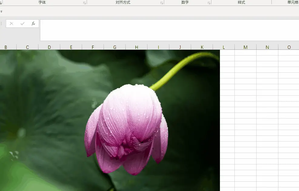 5种免费压缩图片的方法 怎么把图片缩小尺寸