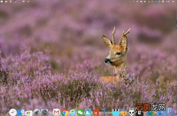 rocketdock怎么使用 rocketdock教程和用法