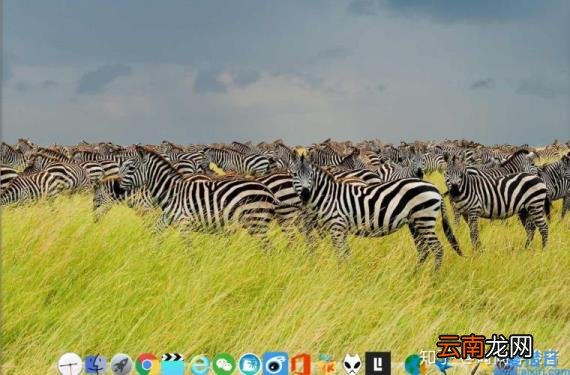 rocketdock怎么使用 rocketdock教程和用法